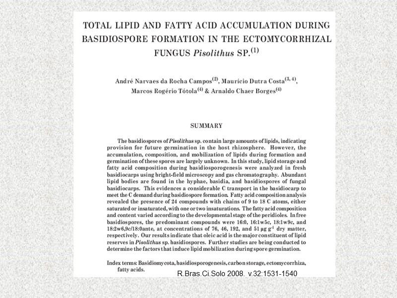 R.Bras.Ci.Solo 2008. v.32:1531-1540